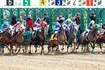 Advance Horse Racing Guide: The Strategic Ways Experts Choose The Horses They Bet On